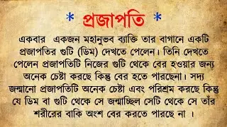 প্রজাপতি । Spiritual Motivational Story । Inspiration Story । SI । Bangla Motivational Story