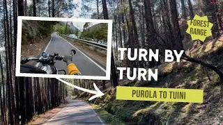 PUROLA FOREST RANGE ||PUROLA TO TUINI ROAD|| #forestsounds #kedarkantha #bikeride #purola #himalayas