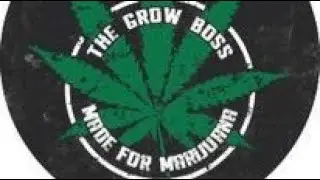 GROW BOSS RESTREAM