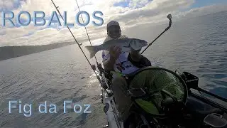ROBALOS - Pesca na Figueira da Foz