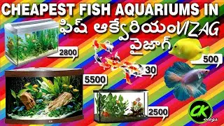 VIZAG//Cheapest fish aquarium/VIZAG wholesale market//LOVEVIZAG /IN TELUGU//VIZAG2021/BIRDS FOR SALE