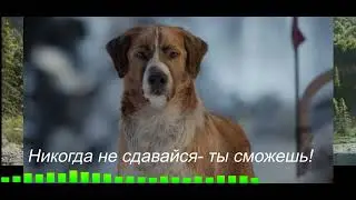 Никогда не сдавайся!Never give up - you can do anything!🌟Зов предков🌟Call of the Ancestors