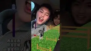 Cattle Pass Challenge