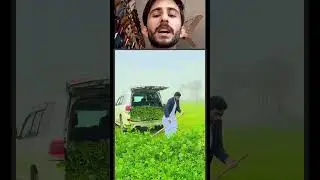 gaari me phatty daaly #knowledge #facts #technology #shortvideo #dailyfacts