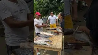 El de la plata soy yo #fish #fishmarket #fishcutting #fishcutting_skills  #sell #beachfishi#youtube