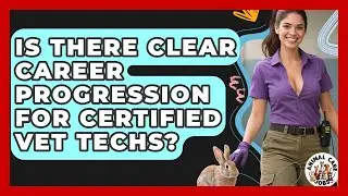 Is There Clear Career Progression For Certified Vet Techs? - Animal Care Jobs
