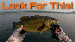 Breaking Down A New Lake The Easy Way - Fish Your Confidence Baits