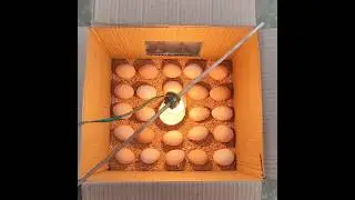 How to Make a Simple Egg Incubator at home | Incubator for chicken eggs