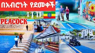 This Project Changed Africa Forever 🇪🇹 | Addis Ababa Ethiopia Riverside Revealed In 4K