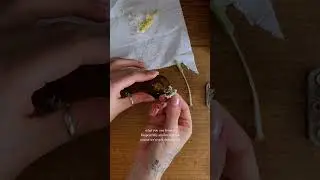 Prosperity Oil Recipe