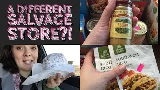 Weekly Grocery Haul With Preps|| Amish Salvage Store || Aldi