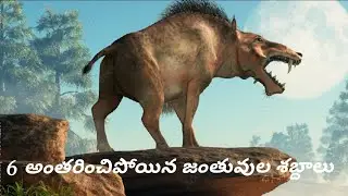 6 Extinct animal sounds