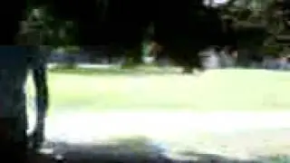 tyler geats whooped on by bris