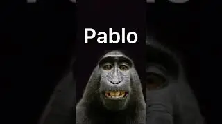 Pablo meme #shorts #minecraft #Pablo