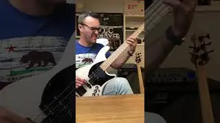 Drum Loops & Bass Grooves