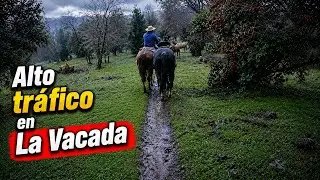 MTB Parque La Vacada (21 Junio 2025)