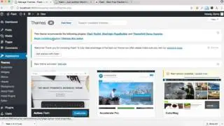 Flash Theme Installation and Demo import Process