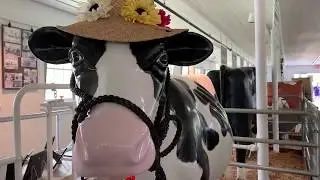 MOOseum