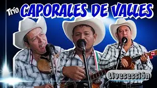 🔥TRÍO CAPORALES DE VALLES 