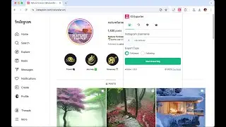 How to Export Instagram Followers and Following 2026