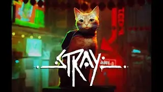 Stray | Can we get the city open?