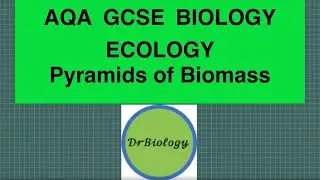 Pyramids of Biomass & Trophic levels (GCSE Biology ONLY)