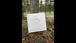 Vladislav Delay - Wallfacer