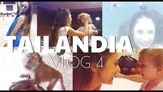 Un MONO me quiere ROBAR + 1200 Escalones | VLOG | happysunnyflowers