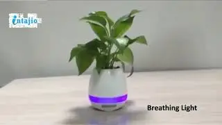 Smart Musical Flower pot