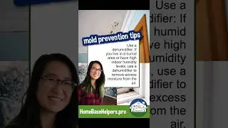 Black mold tips remodeling #blackmold #moldcleanup #homerenovation #shortfeed #basementmakeover