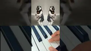 husky dance trend😅#piano#notes#shorts#husky#dance#viral#subscribe#music #trending #shorts
