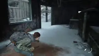 The Last Of Us Part 2 Gameplay Part 1 /No Commentary