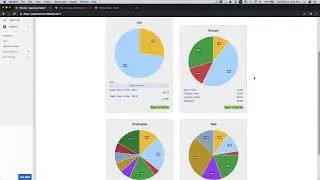 TSheets Reports