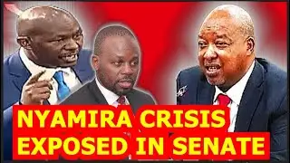PAN!C & TENSI0N IN SENATE AS NYAMIRA SENATOR LOSE HIS COOL DURING THE GRILLING OF 'INCOMPETENT' GOV