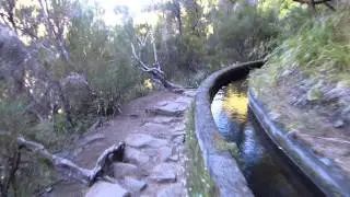 Levadawalk
