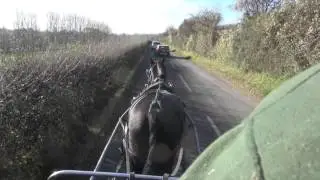 Handsfree driving horse; training using voice aids only - Barry Hook, Horse Drawn Promotions.