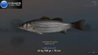 Fisher online - mer CASPIENNE - journa BAR RAYE