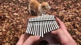 All The Small Things by blink-182 on a Kalimba