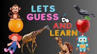 Toys, Animals, and Transportation Guessing Game! Can You Identify It? | For kids