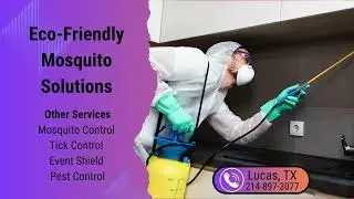 Eco Friendly Mosquito Solutions Lucas, TX
