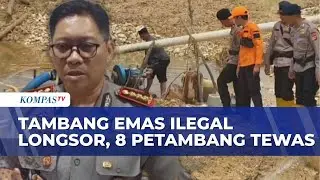 Tragedi Tambang Emas Ilegal di Jambi, 8 Tewas dan 4 Luka Tertimbun Longsor Usai Hujan Deras
