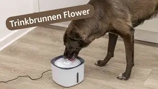 Flower electric drinking fountain for dogs and cats - sparkling water for your pet &ndash; TRIXIE