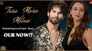 Tera Mera Milna (Beat Mix) | P-Series | Deep House Trapped | 2026 | Love Song