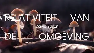 DAVID EDREN - 