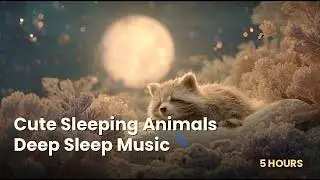 Deep Sleep Music with Cute Animals 4k (5Hour)✨ Soothing Music to Fall Asleep Fast