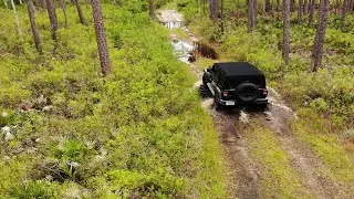 Off-roading Goethe State Forest