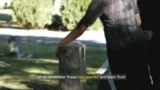 🌍 The Lost World: Extinct Animals Documentary 🦖