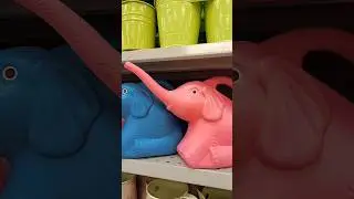 #SHORTS / ELEFANTE REGADOR / DOLLARAMA / SURREY / BC