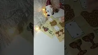 Какой вас видят окружающие? Таро расклад ✨