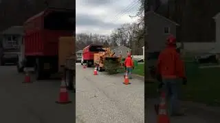Tree Service Denville NJ